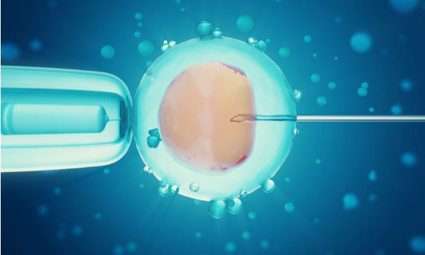 移植鲜胚第二天小便频繁正常吗？鲜胚第十四天孕酮多少正常